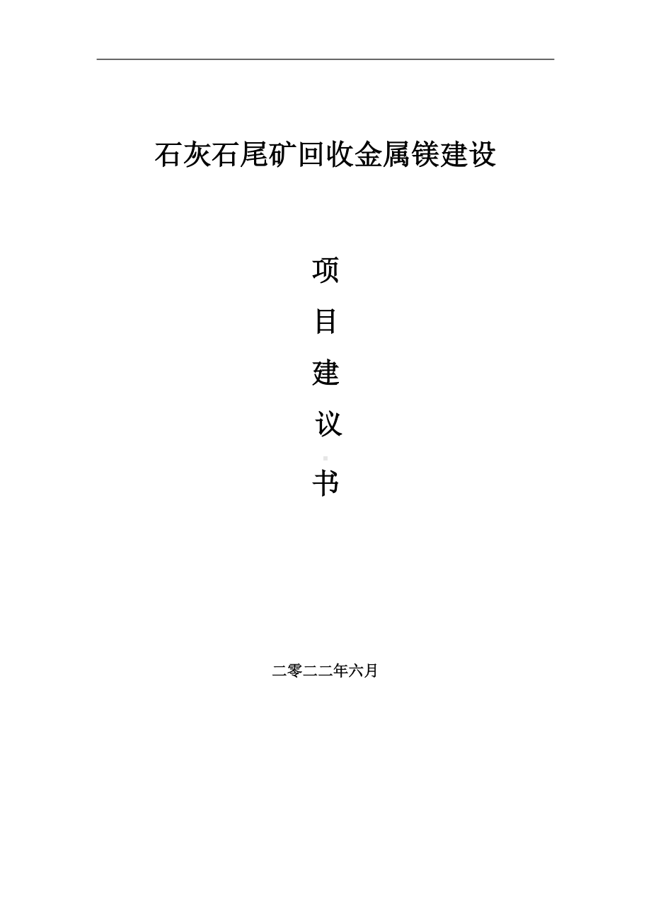 石灰石尾矿回收金属镁项目建议书（写作模板）.doc_第1页