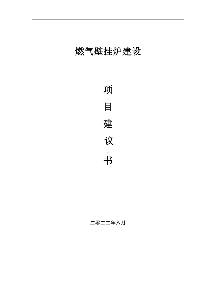 燃气壁挂炉项目建议书（写作模板）.doc_第1页