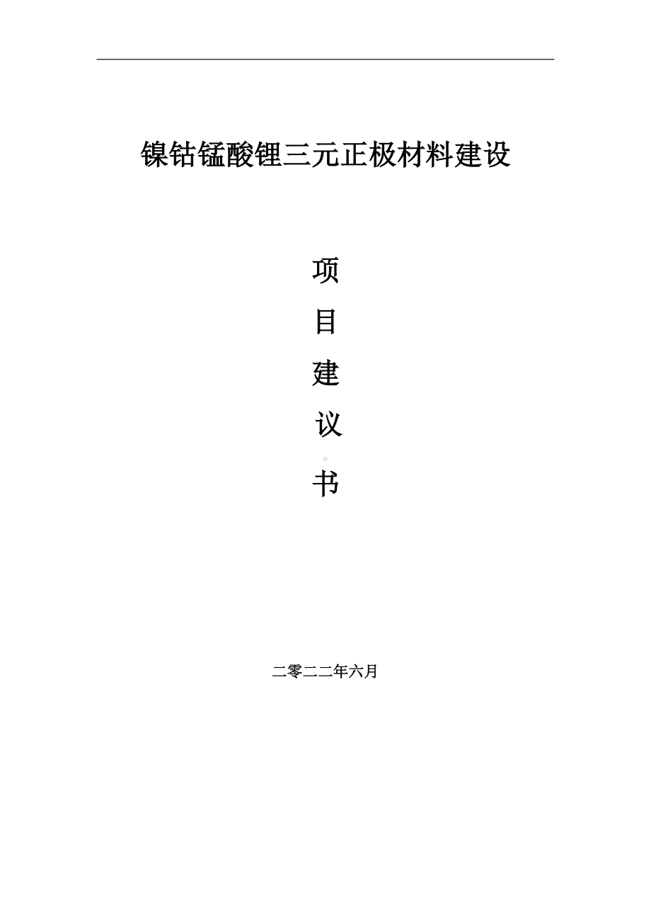 镍钴锰酸锂三元正极材料项目建议书（写作模板）.doc_第1页