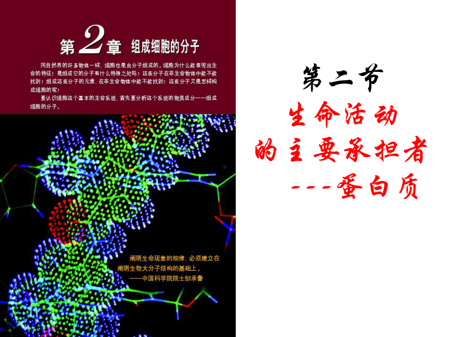 第二节生命活动的主要承担者--蛋白质学习培训模板课件.ppt_第1页