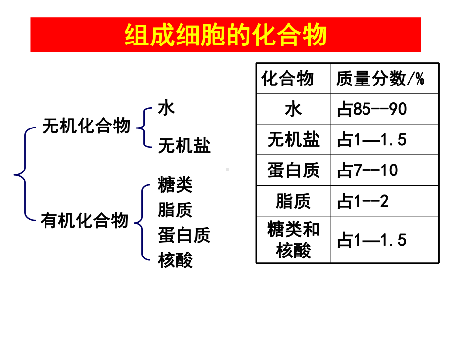 第二节生命活动的主要承担者--蛋白质学习培训模板课件.ppt_第2页