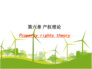 第六章产权理论Propertyrightstheory学习培训模板课件.ppt