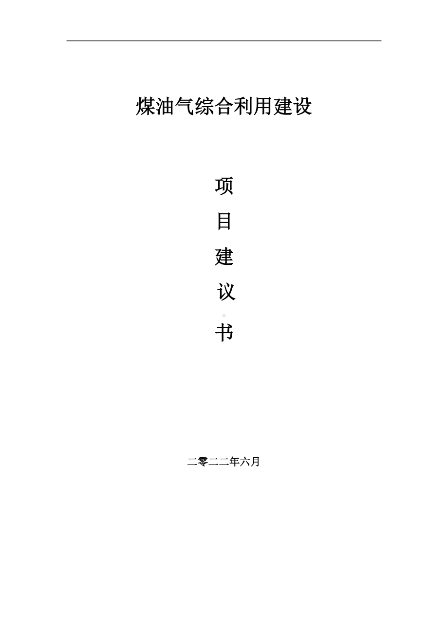 煤油气综合利用项目建议书（写作模板）.doc_第1页