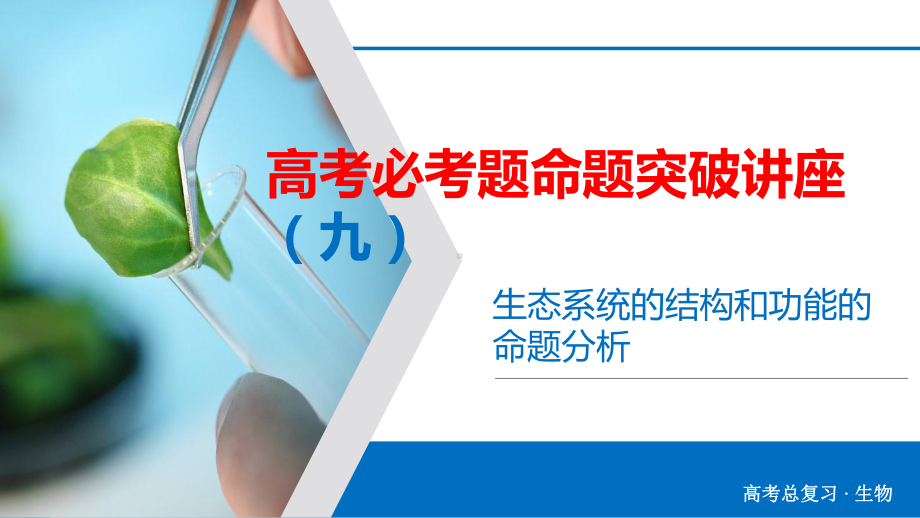 2020高考生物必考题命题突破 生态系统的结构和功能的命题分析课件.pptx_第1页