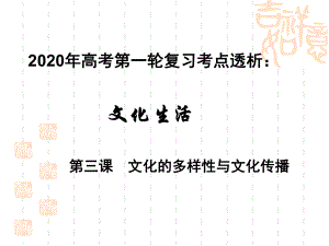 2020年高考政治第一轮复习课件：文化生活考点透析第三课文化的多样性和文化传播.ppt