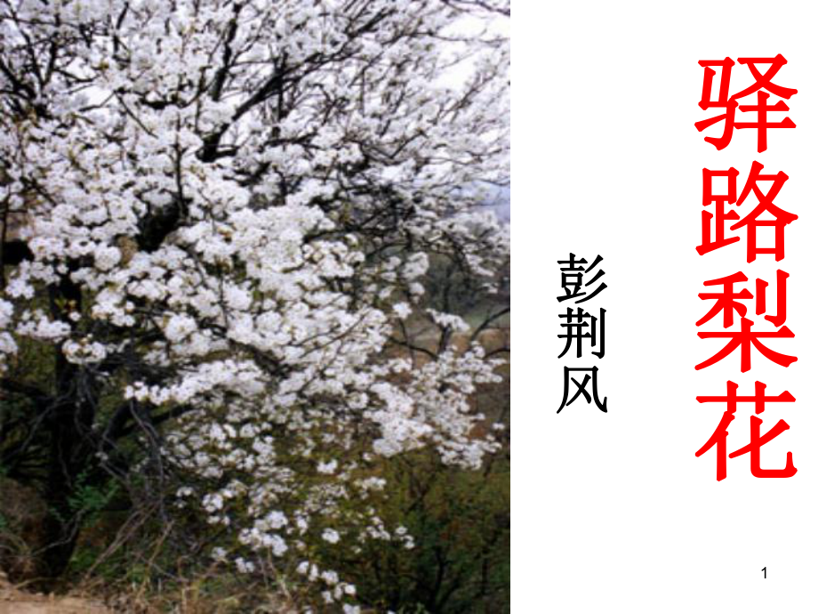 (精选课件)驿路梨花优秀课件.ppt_第1页