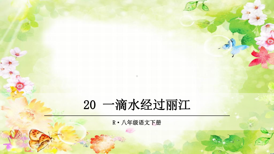 最新部编版八年级语文下册 20 一滴水经过丽江 优质课件.ppt_第1页