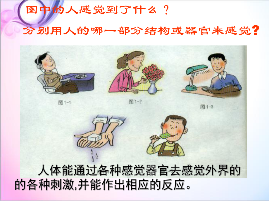 最新科学苏教版小学五年级下册《感觉》优质课课件1.ppt_第2页