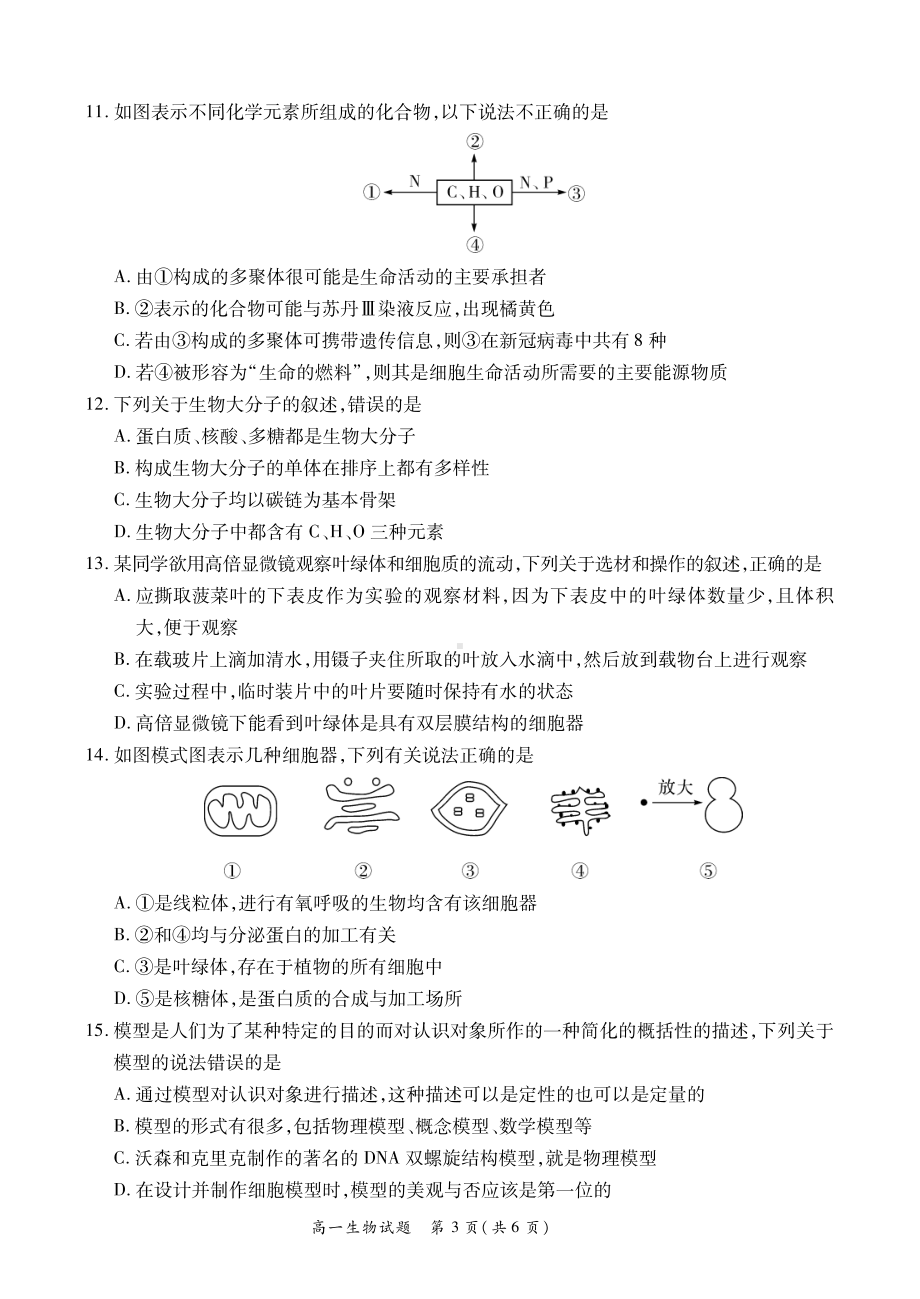 河南省商丘市2022-2023学年高一上学期期中生物试题.pdf_第3页