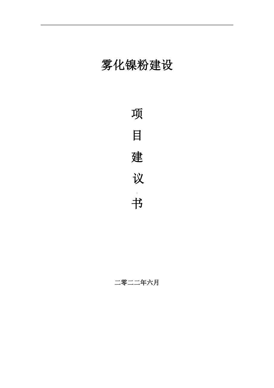 雾化镍粉项目建议书（写作模板）.doc_第1页