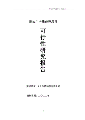 鞋底生产线项目可行性研究报告备案申请模板.doc