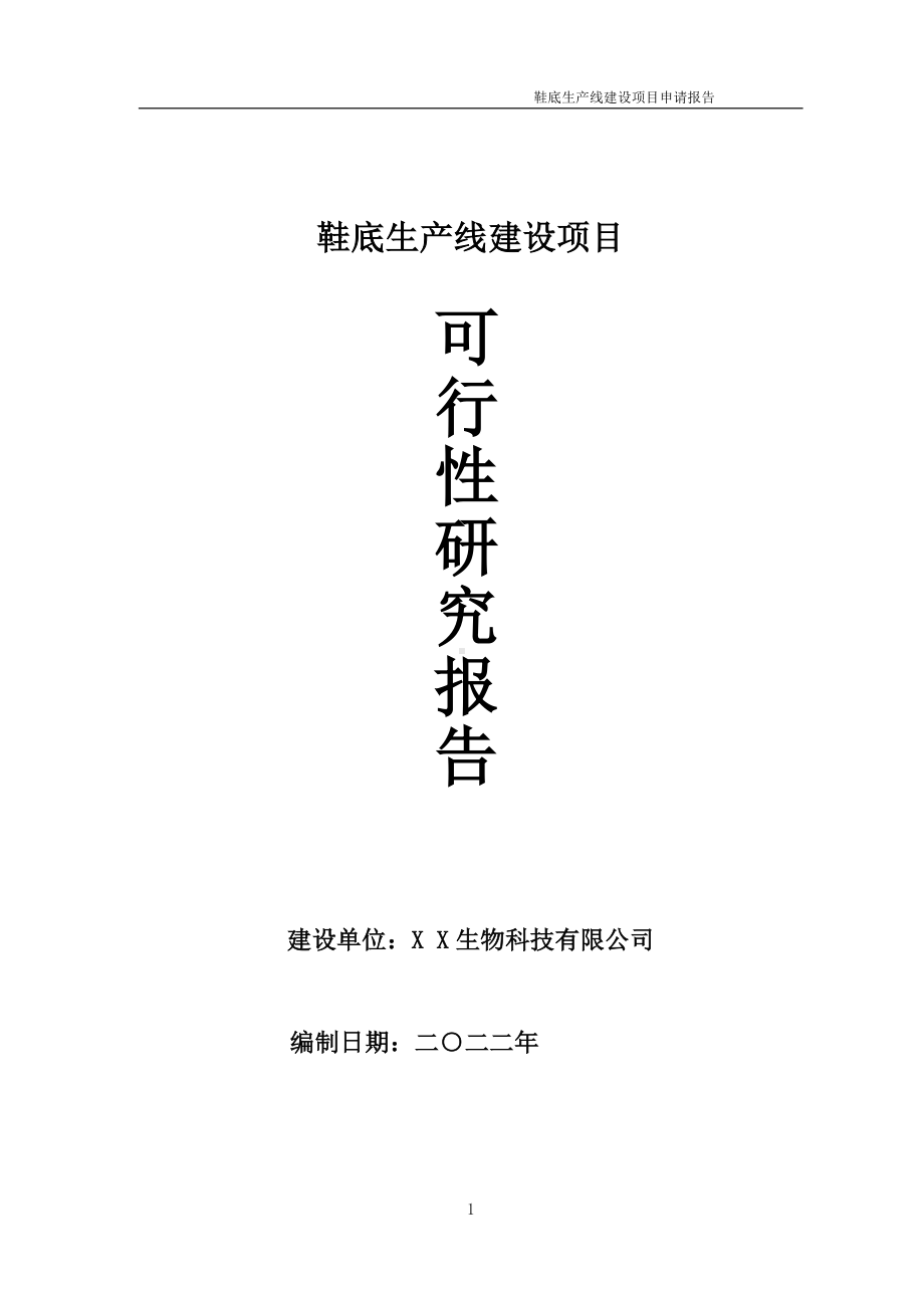 鞋底生产线项目可行性研究报告备案申请模板.doc_第1页