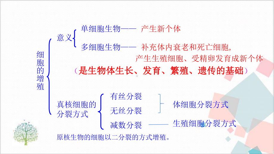 有丝分裂专题课件.pptx_第3页