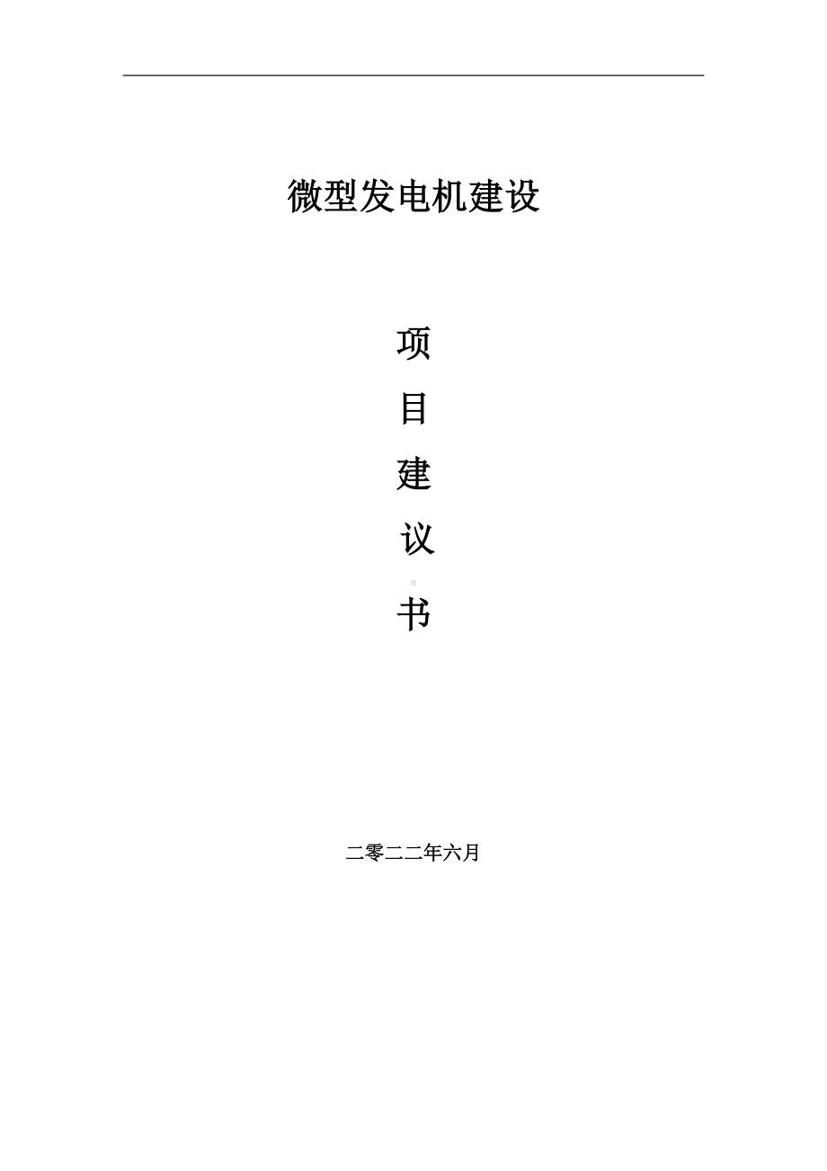 微型发电机项目建议书（写作模板）.doc_第1页