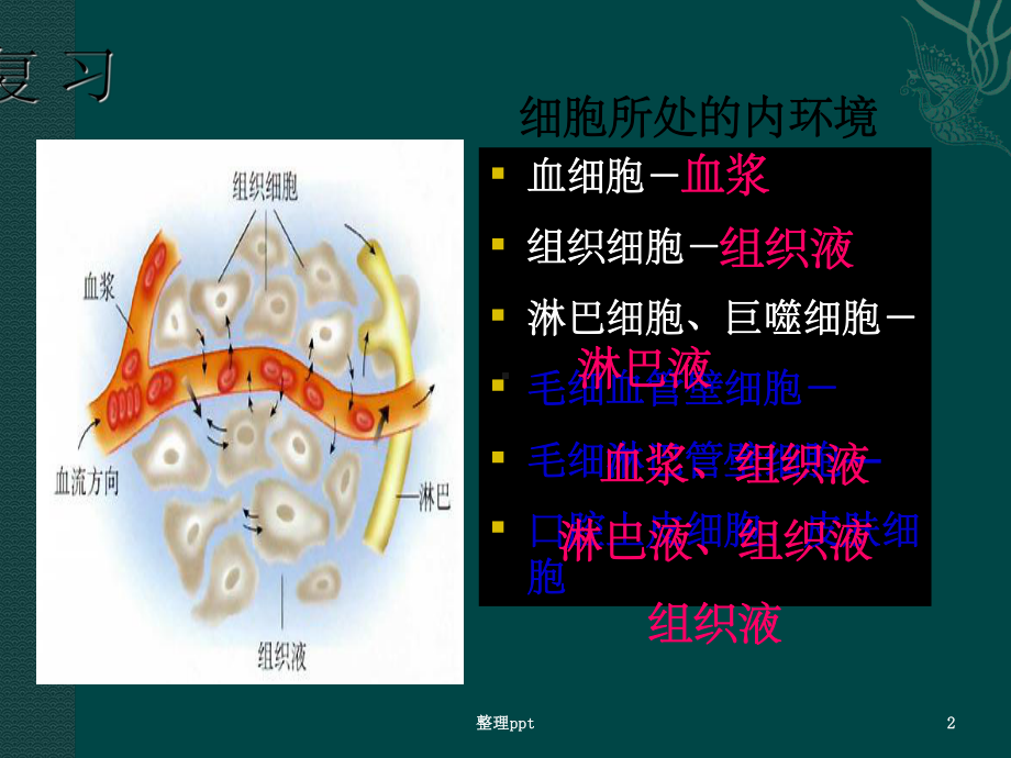 水和电解质的平衡及其调节课件.ppt_第2页