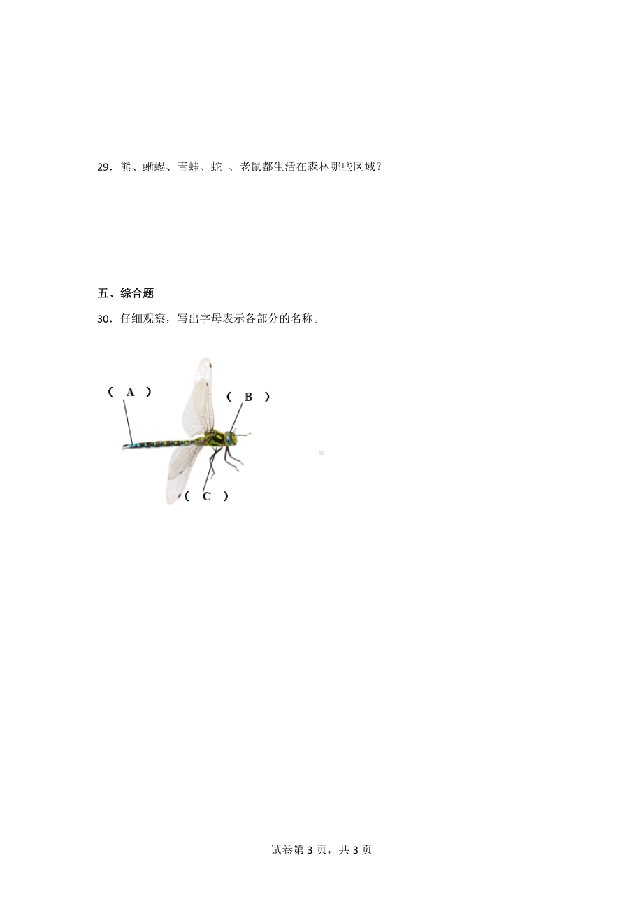 粤教版三年级科学上册第一单元观察动物达标测试卷（2份）含答案.doc_第3页