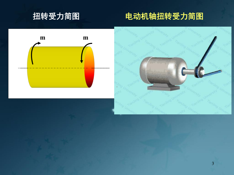 材料力学：扭转课件.ppt_第3页