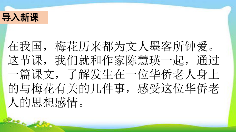 最新人教版部编版五年级语文下册4梅花魂完美课件.ppt_第3页