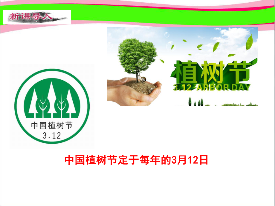 植树的牧羊人省优获奖课件.ppt_第3页