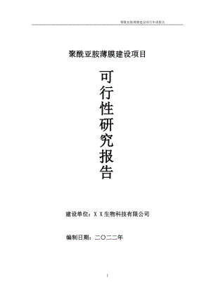 聚酰亚胺薄膜项目可行性研究报告备案申请模板.doc