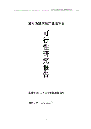 聚丙烯薄膜生产项目可行性研究报告备案申请模板.doc