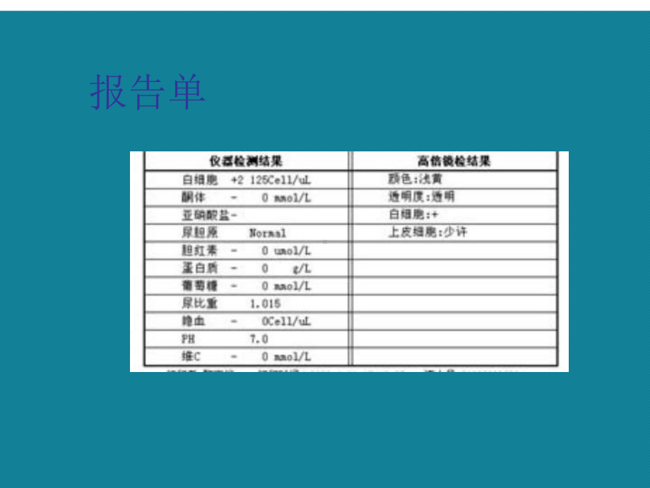 宠物尿常规检查及真菌螨虫粪便检查课件.ppt_第3页