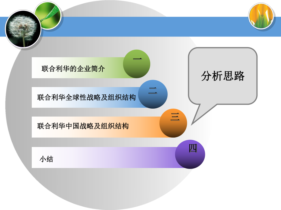 某公司的发展战略与组织结构案例分析课件.ppt_第2页