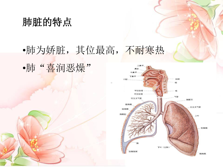 秋冬季节预防呼吸道疾病课件.ppt_第3页