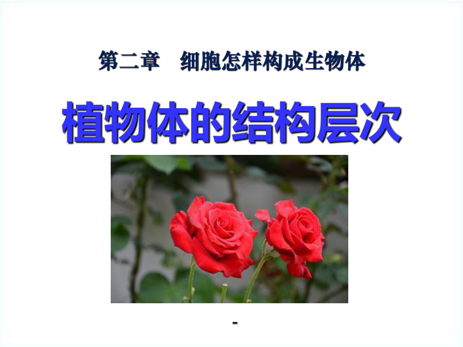 植物体的结构层次课件1.ppt_第1页