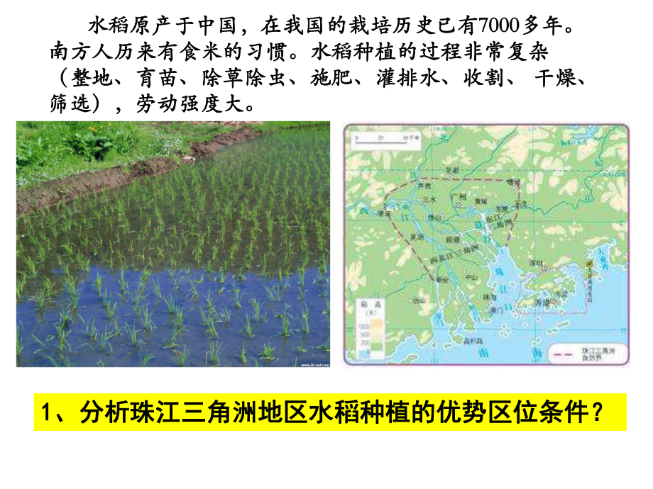 2020届高三地理复习 农业区位 以水稻为例 课件.pptx_第2页