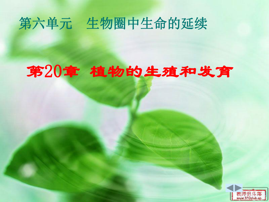 植物的生殖与发育课件 (苏科版八年级上) .ppt_第1页