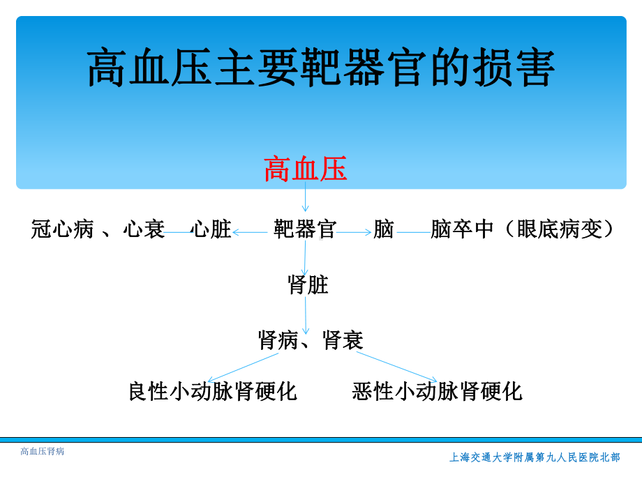 最新高血压肾病课件.ppt_第3页