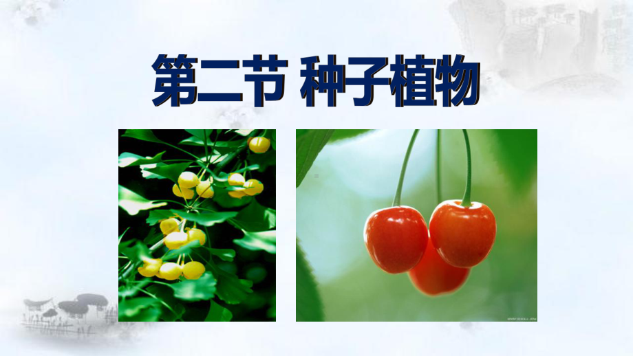 3.1.2 种子植物-课件(1)-人教版生物七年级上册.ppt_第1页