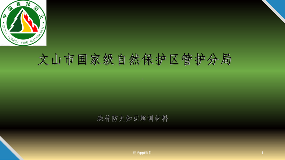 森林防火培训课件.ppt_第1页