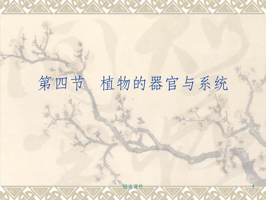 植物的器官与系统课件.ppt_第1页