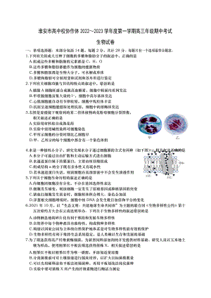 江苏省淮安市高中校协作体2023届高三上学期生物期中试卷+答案.docx