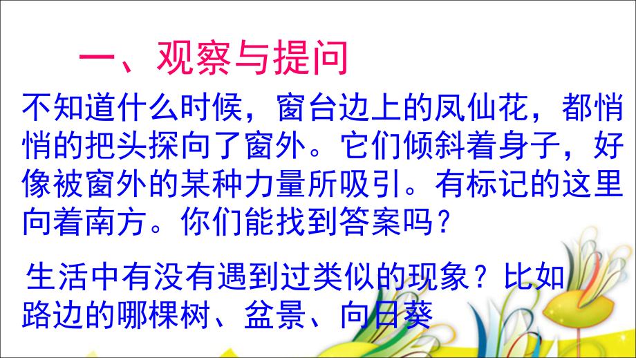 六年级科学上册课件-1. 植物角里的科学问题10-大象版.ppt_第2页