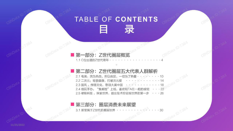 2020年Z世代圈层消费大数据报告课件.pptx_第2页