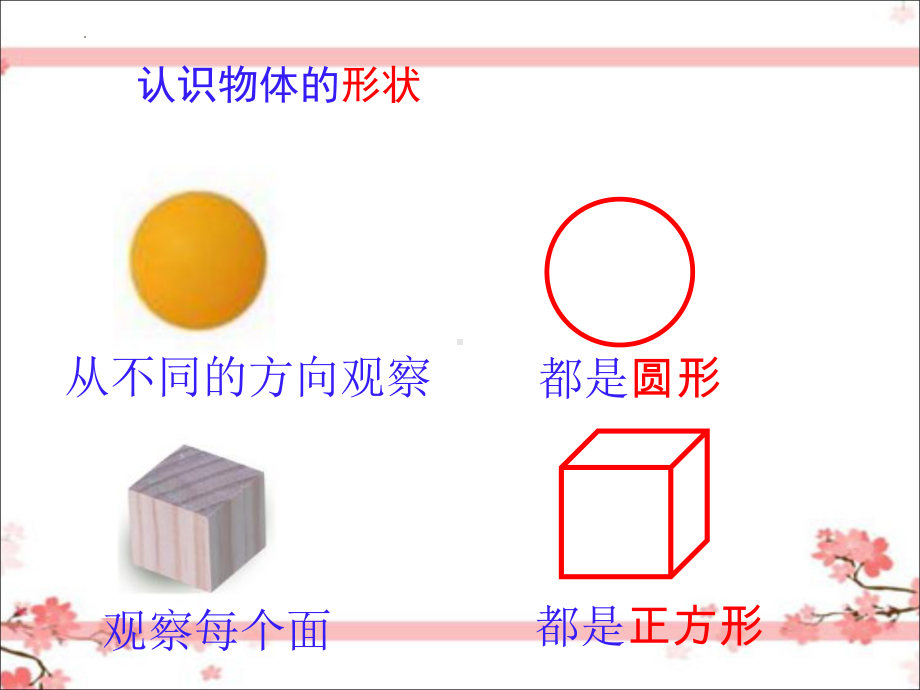 教科版一年级下册科学 3认识物体的形状课件.pptx_第3页