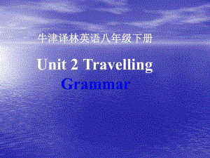 牛津译林英语8B Unit 2 Grammar课件.ppt（纯ppt,不包含音视频素材）