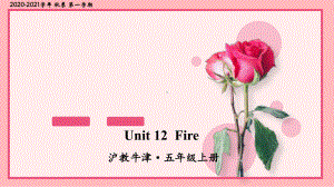 沪教牛津版五年级英语上册Unit 12 Fire课件.ppt（纯ppt,不包含音视频素材）