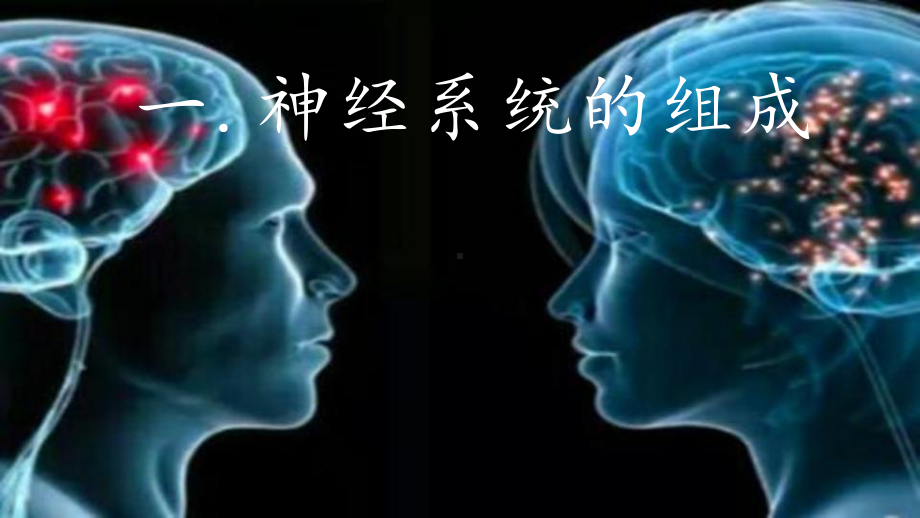 生物中考复习课件：人体生命活动的调节 .pptx_第1页