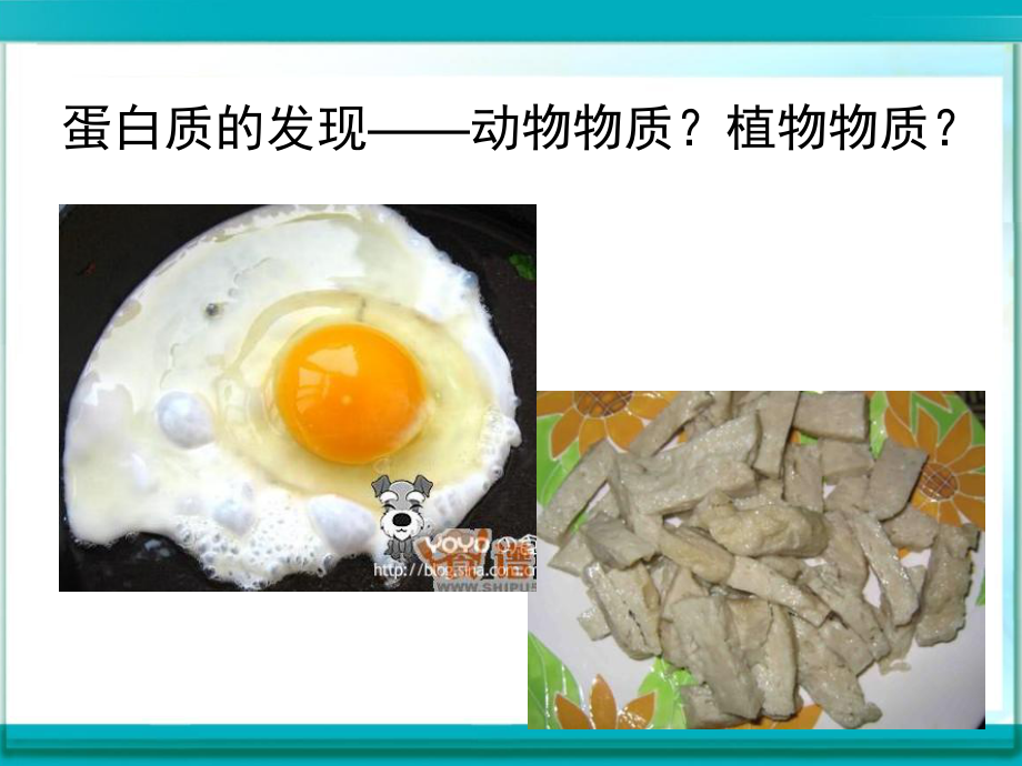 烹饪营养学：蛋白质课件.ppt_第2页