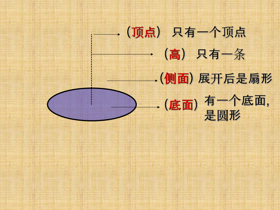 六年级数学下册课件 - 圆锥的认识人教版（共14张PPT）.ppt_第2页