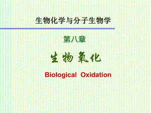 生物化学 生物氧化课件.ppt