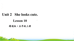 人教精通版五年级上学期Lesson10教学课件.pptx(纯ppt,无音视频)