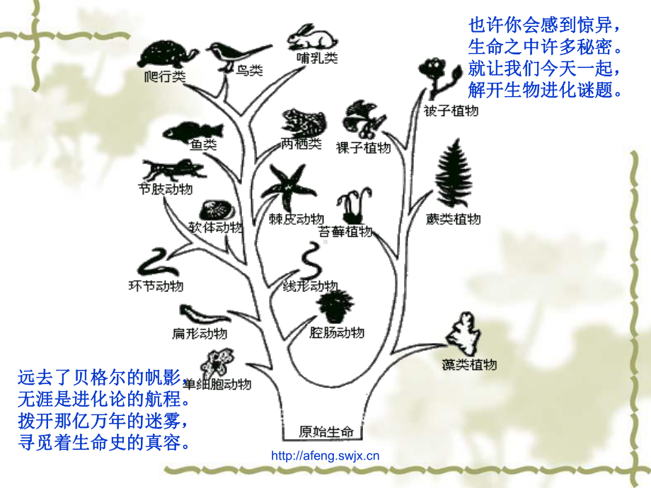 生物高中必修2第七章第一、二节课件3.ppt_第1页