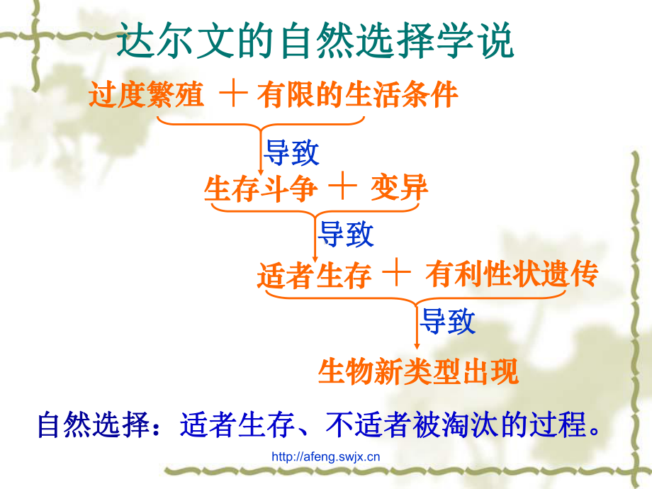 生物高中必修2第七章第一、二节课件3.ppt_第3页