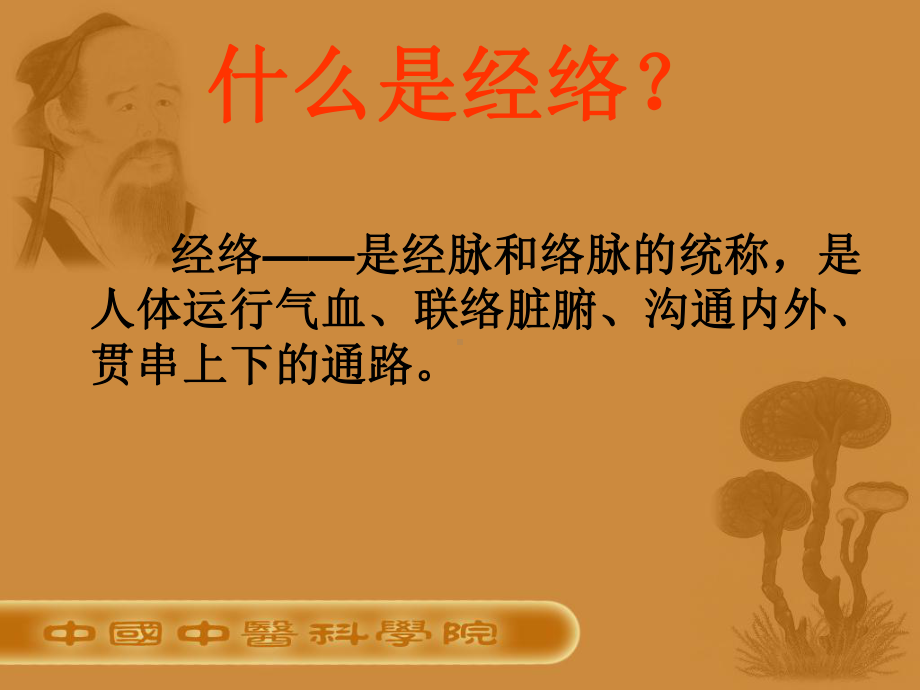 特效穴位之原穴(附有穴位图)课件.ppt_第2页