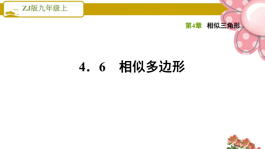 浙教版九年级数学上册《相似三角形》46相似多边形课件.ppt_第1页